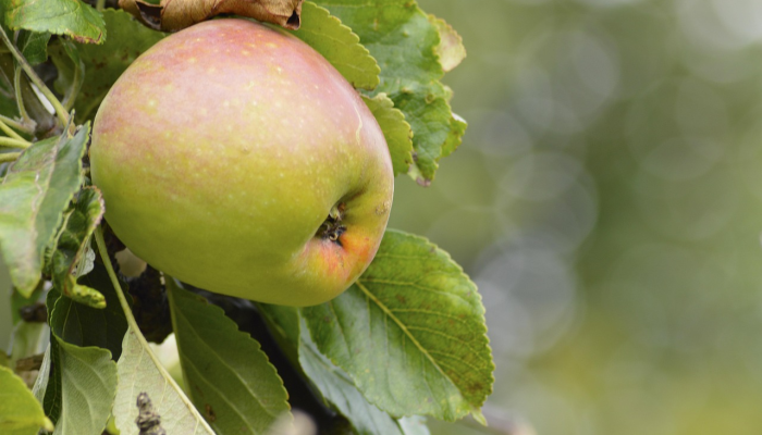 广州新鲜疫情最新:了解最新动态,共建健康社区 广州新鲜疫情最新:了解最新动态,共建健康社区