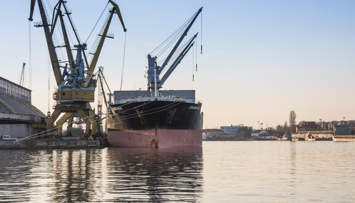 紧急泉州发布最新疫情