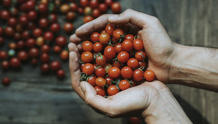 广州上海疫情最新动态：了解最新疫情防控措施与健康建议