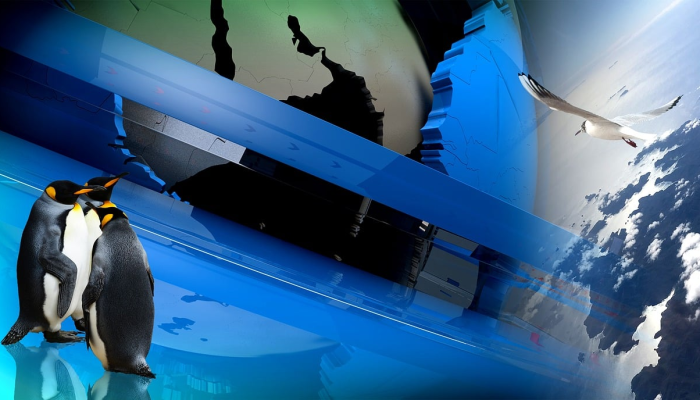 临淄川疫情最新消息:安全与健康并行,共同携手战胜挑战 临淄川疫情最新消息:安全与健康并行,共同携手战胜挑战