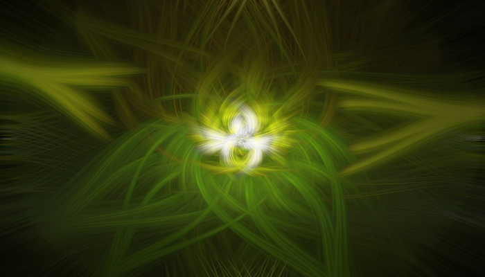 召东最新疫情:全面了解防疫最新动态与未来展望 召东最新疫情:全面了解防疫最新动态与未来展望