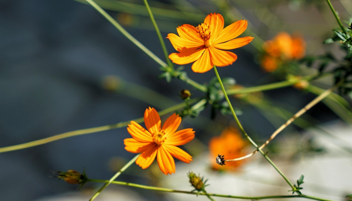 荣昌疫情图片最新:全面揭秘荣昌抗疫最新动态与心灵鸡汤 荣昌疫情图片最新:全面揭秘荣昌抗疫最新动态与心灵鸡汤