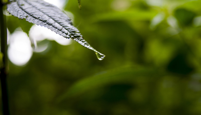 张家洼最新疫情防控措施分享 张家洼最新疫情防控措施分享