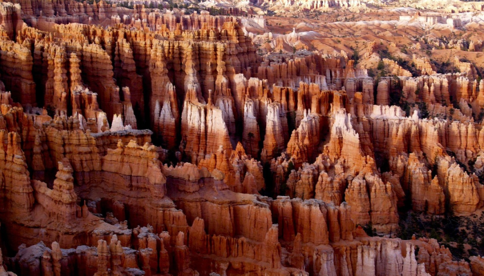 探寻东四环奥莱的最新疫情动态 探寻东四环奥莱的最新疫情动态