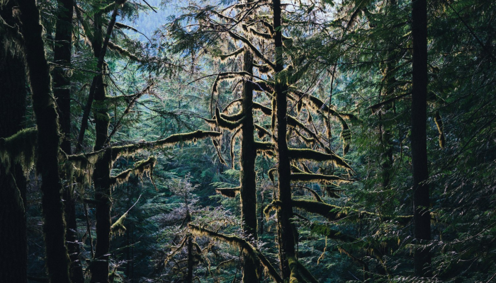 金华疫情停运通知最新:应对挑战,共创美好未来 金华疫情停运通知最新:应对挑战,共创美好未来