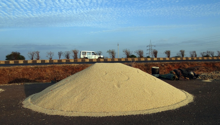 铜陵最新疫情网：您的健康守护者