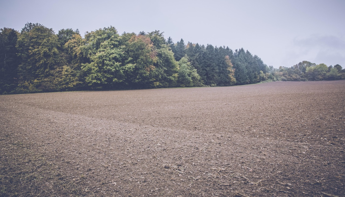 重庆疫情地图今天最新:精准、实时、全面的健康信息指南 重庆疫情地图今天最新:精准、实时、全面的健康信息指南