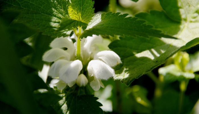 天长市疫情最新统计表：全面了解最新动态与防疫策略