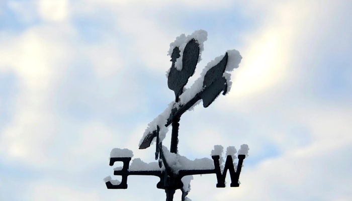 近日最新疫情通报:全面了解最新动态与防疫策略 近日最新疫情通报:全面了解最新动态与防疫策略