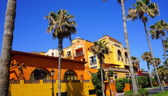 本月洛阳最新疫情:实时了解、全面防护 本月洛阳最新疫情:实时了解、全面防护