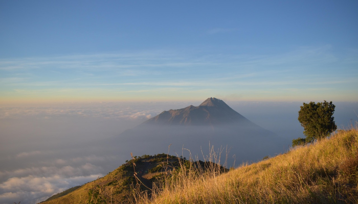 邢台市疫情最新播报:全面了解最新动态与防疫措施 邢台市疫情最新播报:全面了解最新动态与防疫措施