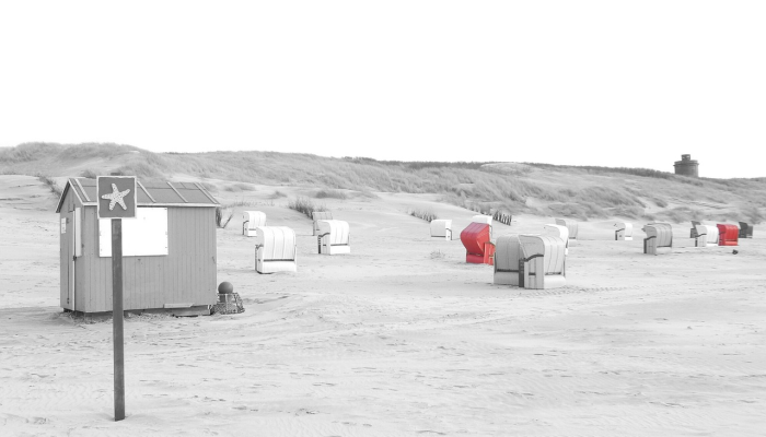 郑州教授谈疫情最新 郑州教授谈疫情最新