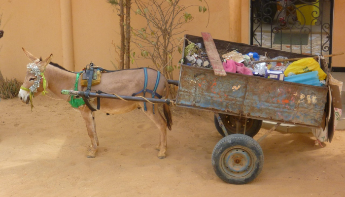 美国复工最新疫情 美国复工最新疫情