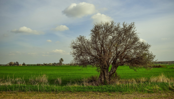 法国疫情最新补助:您的权益守护者 法国疫情最新补助:您的权益守护者