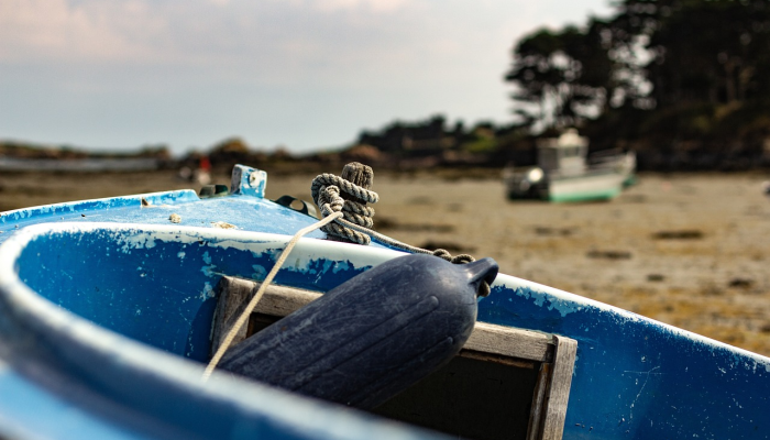 山东疫情疫情最新信息：全面了解最新动态与防疫指南