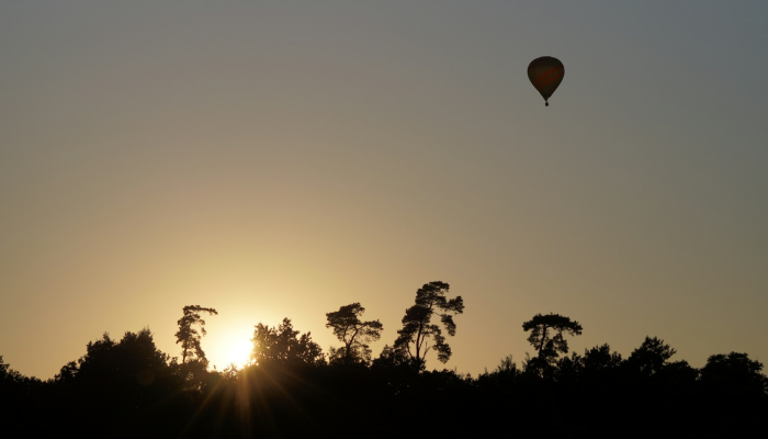 双城最新疫情统计表：透视全球健康动态