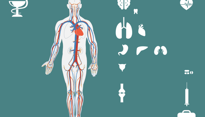 左旗疫情最新报告:您的健康守护者 左旗疫情最新报告:您的健康守护者